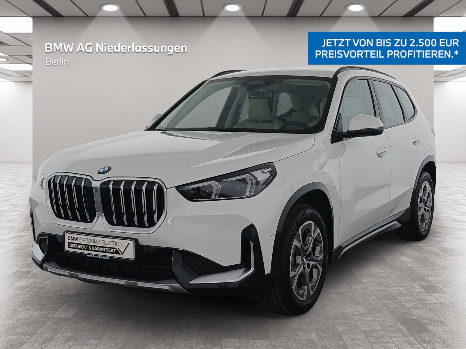 BMW X1 - Bild 1