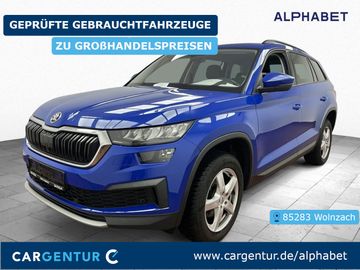 Skoda Kodiaq - 1