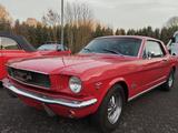 Ford Mustang MK1 289/Oldtimer/Top gepflegt - Ford Mustang: Old