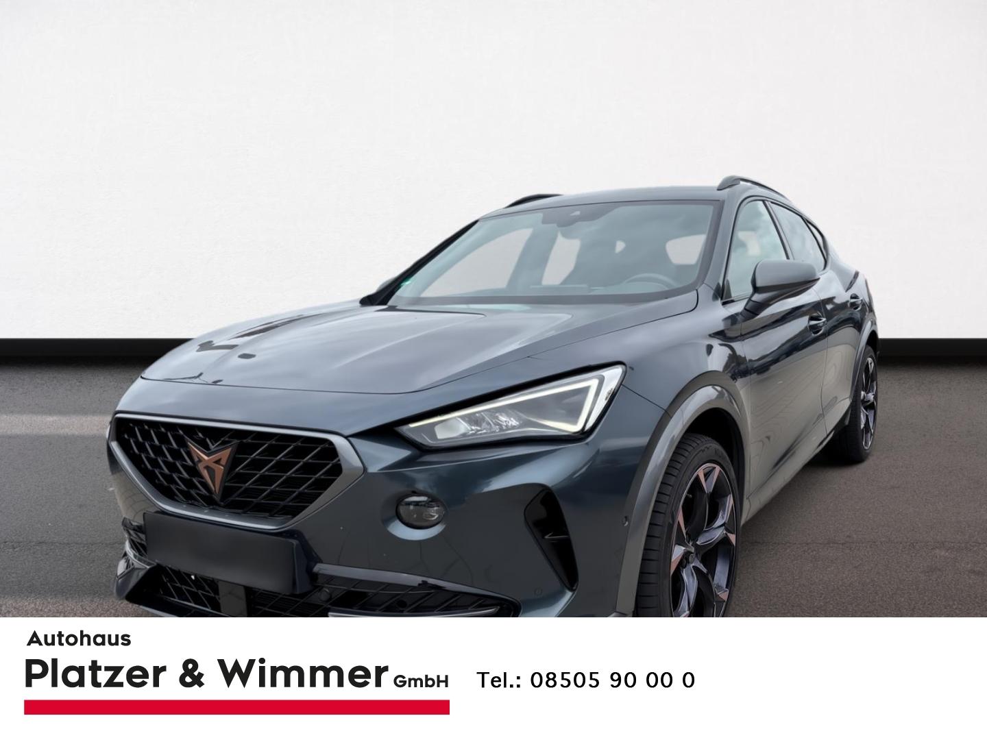 Cupra Formentor VZ 4Drive 2.0 TSI EU6d AD Navi Digital