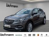 Opel Grandland Edition RFK PDCvh Kli2 SHZ AHKa - Opel Grandland (X) Edition mit Benzin-Antrieb