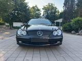 Mercedes-Benz CLK 500 AVANTGARDE Avantgarde - Mercedes-Benz CLK 500: Coupé