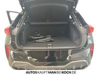 Cupra Terramar - Vorschau Bild 16