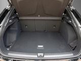 Cupra Terramar 1.5 eTSI-7-Gang-DSG CTL - schwarze Cupra Terramar