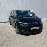 Citroën GRAND C4 PICASSO Business Class NAVI PANO 7-SITZ - Citroën: Gran Picasso