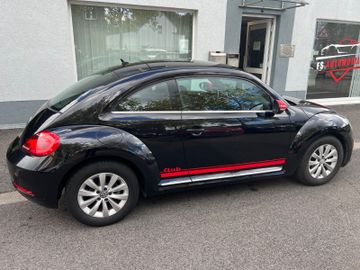Volkswagen Beetle - 5