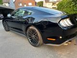 Ford Mustang 5.0 Ti-VCT V8 GT Auto GT - Ford Mustang in Leverkusen