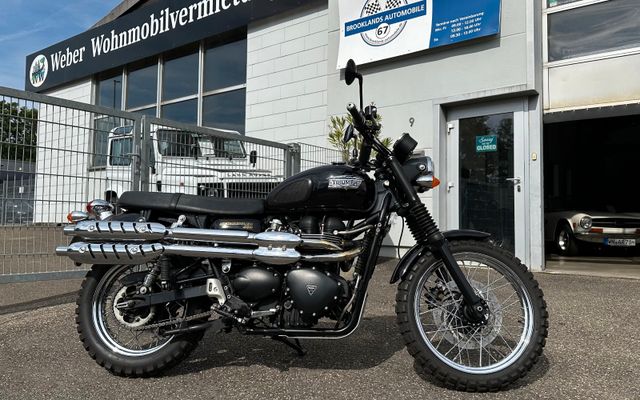 Triumph Scramler 900 - Bestzustand-