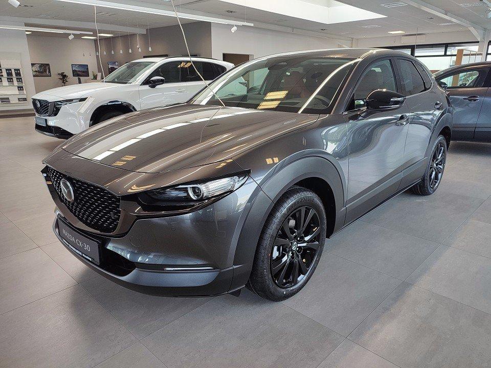 Mazda CX-30 2.5L e-SKYACTIV G 140PS Nagisa