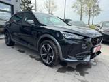 Cupra Formentor 2.0 TDI 4Drive - Cupra Formentor Gebrauchtwagen