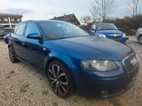 Audi A3 Sportback 2.0 TDI Ambition Xenon Tempom. - Audi A3 aus 2008: Sportback Ambition