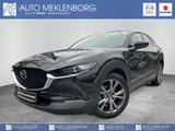 Mazda CX-30 "Exclusive-Line" "X" "DASO" "DES-P" "BOSE - Mazda CX-30 Exclusive-Line mit Hybrid-Antrieb (Benzin/Elektro)