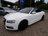 Audi A5 Cabriolet 3.0 TDI quattro S-Line S-Tronic