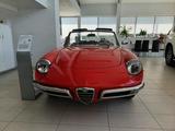 Alfa Romeo Spider Duetto Osso di Seppia