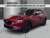Mazda CX-30 - Vorschau Bild 1