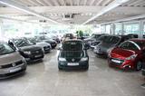 Volkswagen Polo 1.4 - Volkswagen Polo: Grün