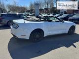 Ford Mustang GT Cabrio Ambiente Klimasitze  B&O LED S - Ford Mustang: Cabrio