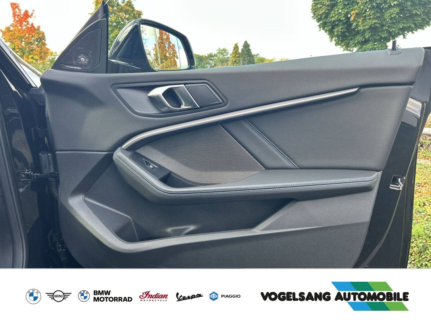 Fahrzeugabbildung BMW 218 Gran Coupe i M Sport Park-Assistent