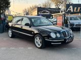 Kia Opirus Executive 3.5 V6*Automatik*Leder*Xenon* - Kia Opirus aus 2004
