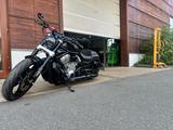 Harley-Davidson Vrscf V-Rod Muscle 1247 - Harley-Davidson Motorräder in Nürnberg