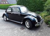 Volkswagen VW Käfer Faltdach Export - Volkswagen aus 1965
