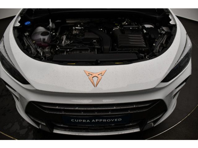 Cupra Terramar - Bild 12