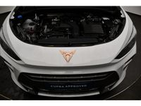 Cupra Terramar - Vorschau Bild 12