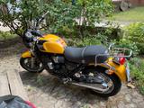 Triumph Thunderbird Sport 900 (Zahnriemen) - TRIUMPH THUNDERBIRD SPORT