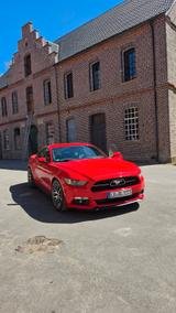 Ford Mustang 5.0 V8 GT  - Ford Mustang Gebrauchtwagen in Stuttgart