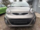 Kia Picanto Edition 7 - Kia Picanto Gebrauchtwagen