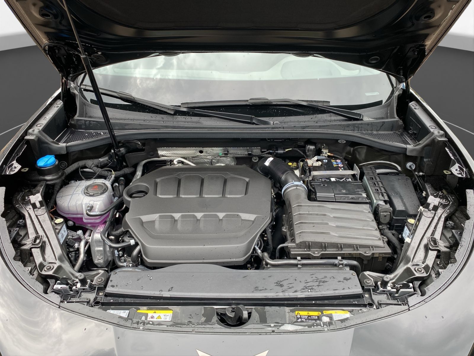 Cupra Terramar - Bild 22