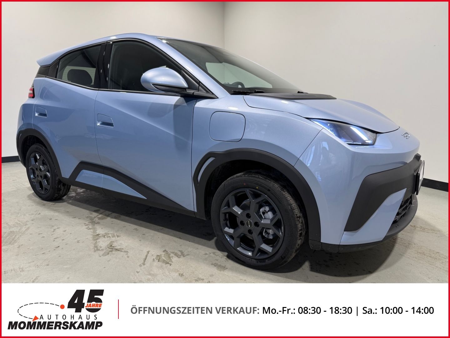 BYD DOLPHIN SURF