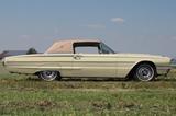 Ford Thunderbird - Ford Thunderbird: Sportwagen
