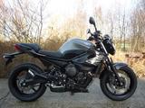 Yamaha XJ 6 ABS 1.Hand Service gemacht guter Zustand - YAMAHA XJ