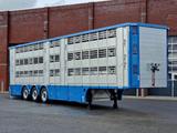 Pezzaioli New 3 stock livestock trailer 95.4M2 - Water & V - Pezzaioli LKWs