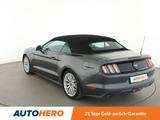 Ford Mustang 2.3 EcoBoost Convertible Basis*NAVI* - gebrauchte Ford Mustang aus dem Jahr 2016