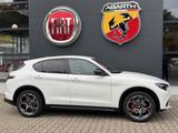 Alfa Romeo Stelvio VELOCE +AHK+LED+KAMERA+HARMAN/KARDON+ - Alfa Romeo Stelvio Tageszulassungen