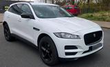 Jaguar F-Pace 2.0 D / 2.Hand / Top / 11200... - Jaguar F-Pace in Essen