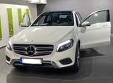 Mercedes-Benz Diplomatenfahrzeug | Mercedes-Benz GLC 220 d - weiße Mercedes-Benz GLC 220