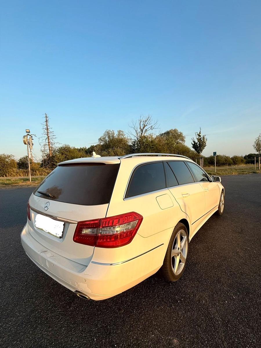 Mercedes-Benz E350 2010 — rear view