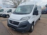 Fiat Ducato Grossr.-Kasten 2,3 Ltr L3H2 - Fiat Ducato aus 2017