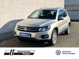 Volkswagen Tiguan 2.0TSI Track&Style 4Motion XENON LEDER - Volkswagen Tiguan aus 2014