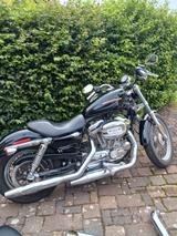 Harley-Davidson Sportster 883 Super Low - HARLEY-DAVIDSON SPORTSTER 883 LOW