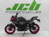 Kawasaki Z 500 2025 - KAWASAKI 500Z