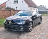 Volkswagen Eos Cabrio 1,4 TSI - Volkswagen 181: Cabrio