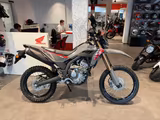 Honda CRF300 Swift Gray *sofort verfügbar* - HONDA MOTORRAD