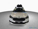 Skoda Fabia Tour 1.0TSI*DSG*WinterPaket*GRA*SmartLink* - Skoda Fabia aus 2025