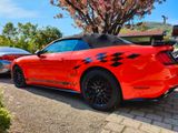 Ford Mustang 5.0 V8 GT  - : Orange, Cabrio
