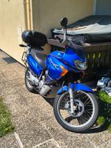 Honda Transalp XL 650 V - HONDA TRANSALP 650