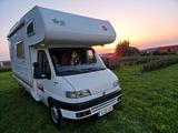 Fiat Ducato - Offers matching your search criteria